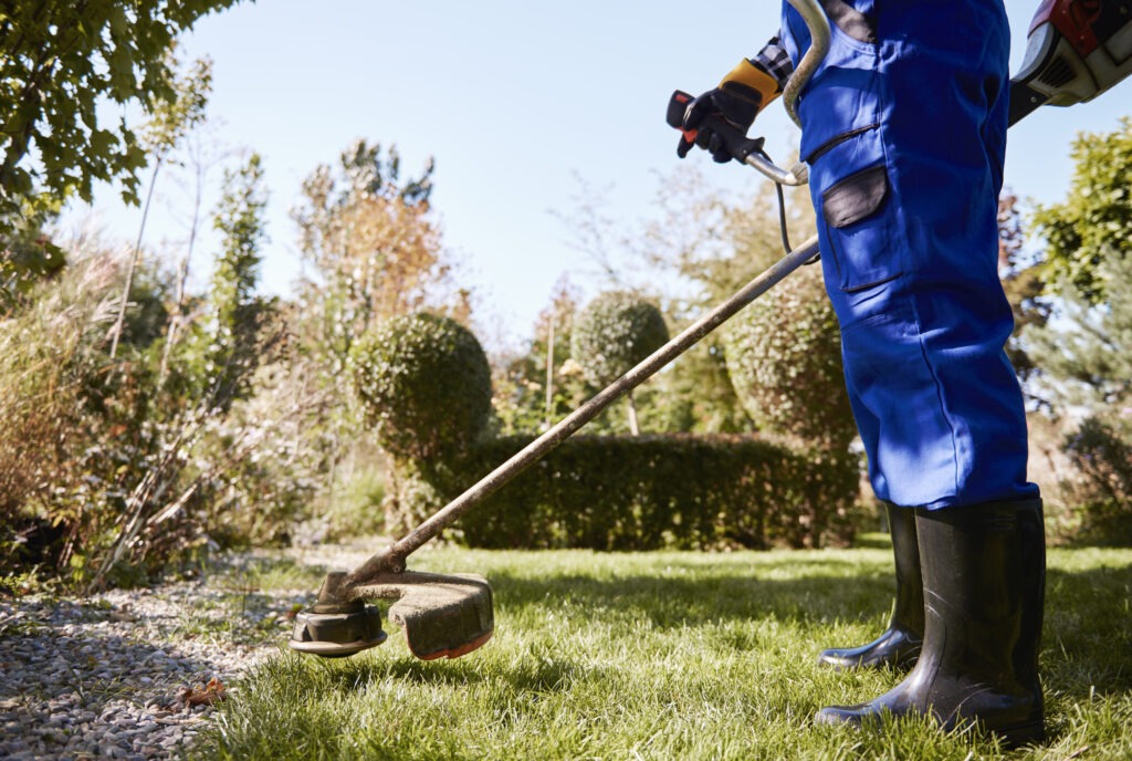 Grünflächenbetreuung: Gärtner mäht mit einem Rasentrimmer das Gras im Garten